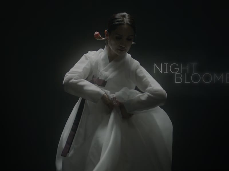 Coming Soon: NIGHTBLOOMERS